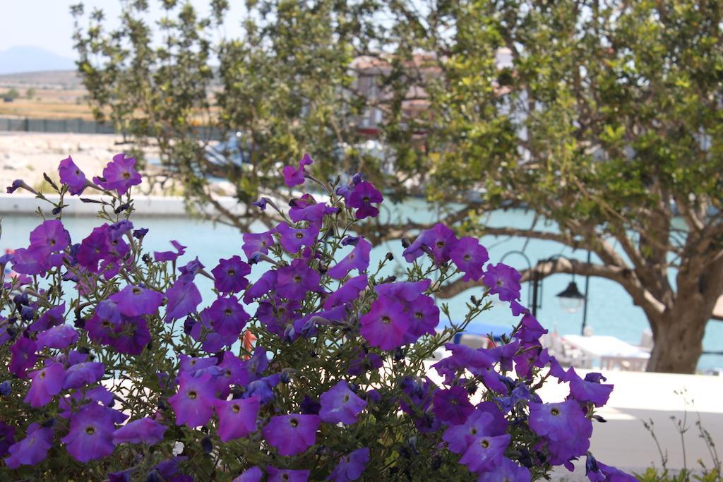 Port Villa Deniz อาเลอเจอติ ภายนอก รูปภาพ
