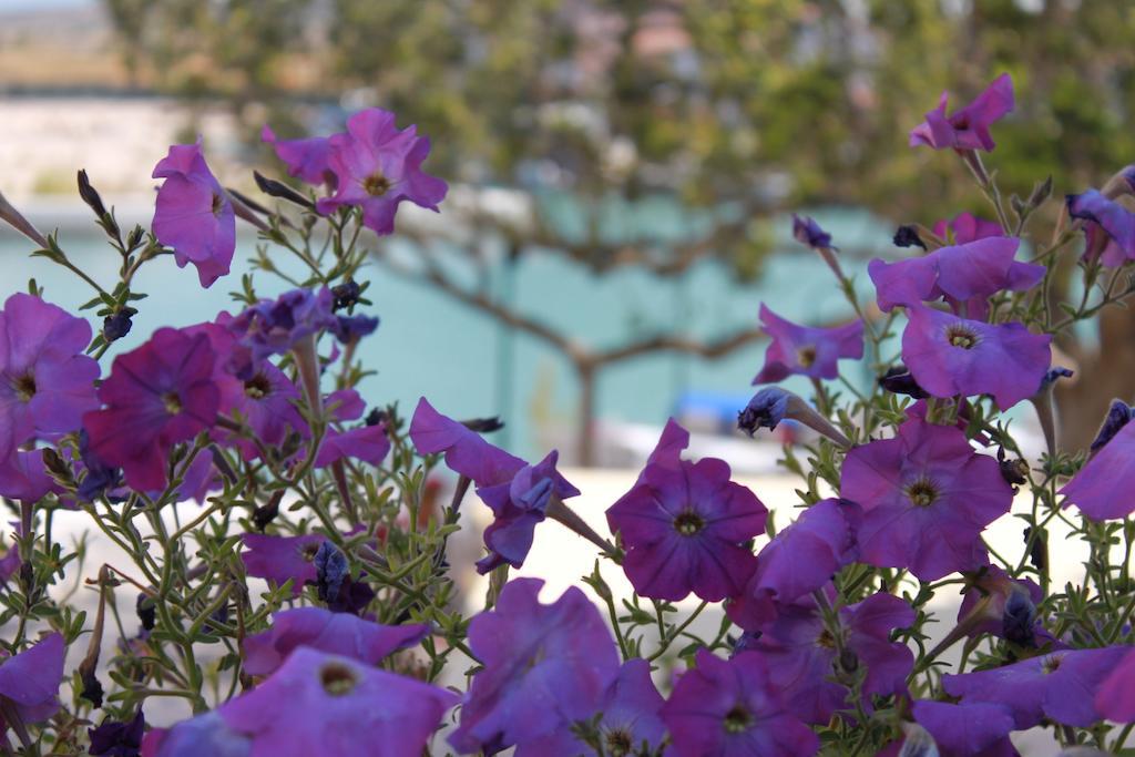 Port Villa Deniz อาเลอเจอติ ภายนอก รูปภาพ